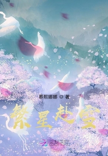 繁星赴雪