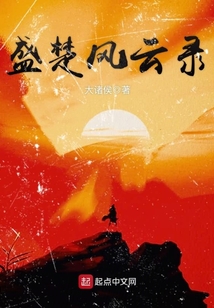 盛楚风云录 cover