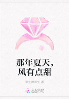 那年夏天，風有點甜在線閱讀