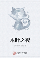 木葉之夜在線閱讀