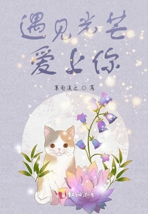 遇见光芒爱上你