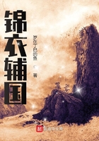 錦衣輔國在線閱讀