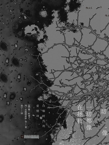 一切都像在拯救：白銀時(shí)代的愛情詩(shī)
