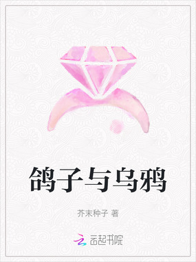 鸽子与乌鸦在线阅读