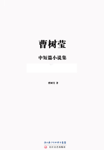 曹树莹中短篇小说集