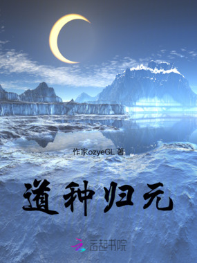 道种归元在线阅读