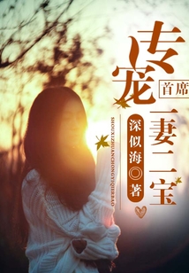 首席专宠一妻二宝