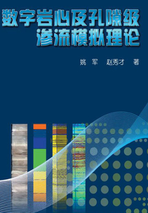 數(shù)字巖心及孔隙級(jí)滲流模擬理論