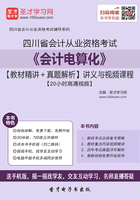 四川省会计从业资格考试《会计电算化》【教材精讲＋真题解析】讲义与视频课程【20小时高清视频】在线阅读