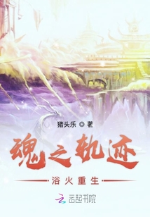 魂之軌跡浴火重生
