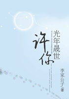 許你光年晟世在線閱讀