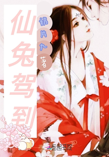 仙兔駕到