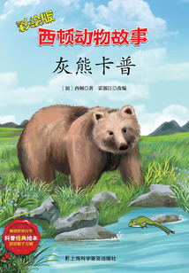 灰熊卡普