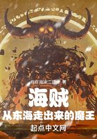 海贼:从东海走出来的魔王在线阅读