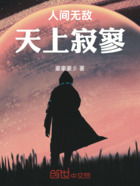 人间无敌，天上寂寥在线阅读