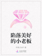 陷落美好的小老板在线阅读