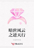 暗世風(fēng)云之逆天行在線閱讀