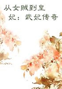 從女賊到皇妃：武妃傳奇