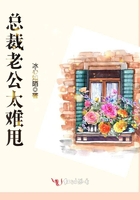 总裁老公太难甩