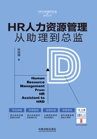 HR人力资源管理从助理到总监在线阅读