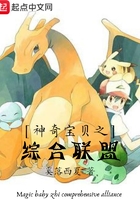 神奇宝贝之综合联盟