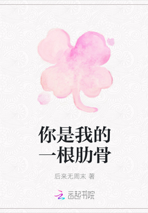 你是我的一根肋骨