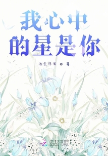 我心中的星是你