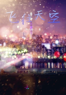 飛往天空