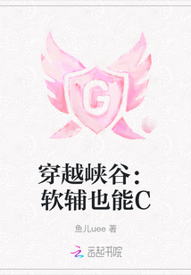 穿越峽谷：軟輔也能C