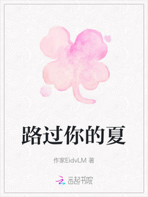 路過你的夏