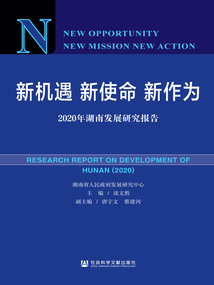 新機遇 新使命 新作為：2020年湖南發展研究報告