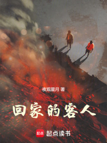 回家的客人
