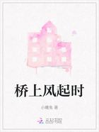 桥上风起时在线阅读