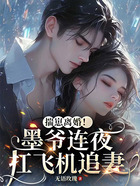 揣崽离婚!墨爷连夜扛飞机追妻在线阅读