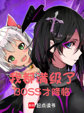 我都满级了,BOSS才降临在线阅读