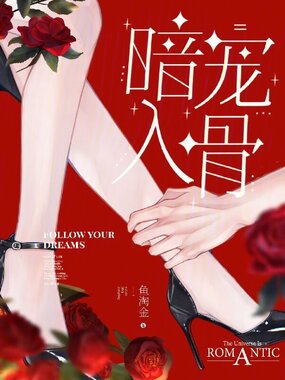 暗宠入骨在线阅读