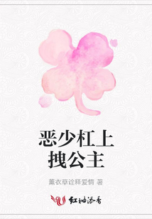 惡少杠上拽公主
