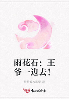 雨花石：王爺一邊去！在線閱讀