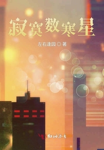 寂寞數(shù)寒星