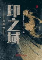 白赤帝印之域在线阅读