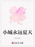 小城永远夏天在线阅读