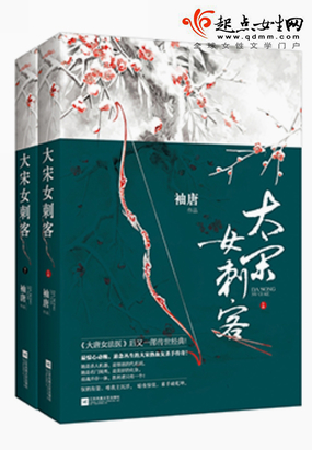 伪宋杀手日志在线阅读