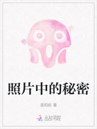 照片中的秘密在线阅读