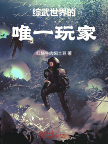 綜武世界的唯一玩家