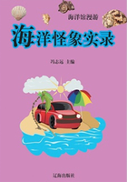 海洋馆漫游：海洋怪象实录在线阅读