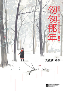 匆匆那年(黄金纪念版)(下册)
