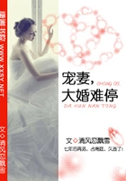 宠妻之大婚难停_(清风恋飘雪)小说最新章节全文免费在线阅读下载-QQ阅读