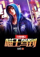王者榮耀之喵王駕到在線閱讀