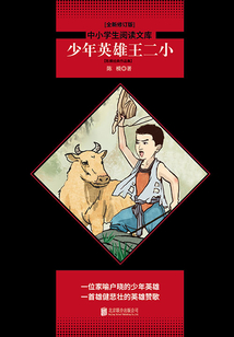 少年英雄王二?。宏惸＝浀渥髌芳? class=
