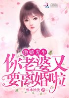傲娇先生，你老婆又要离婚啦！在线阅读